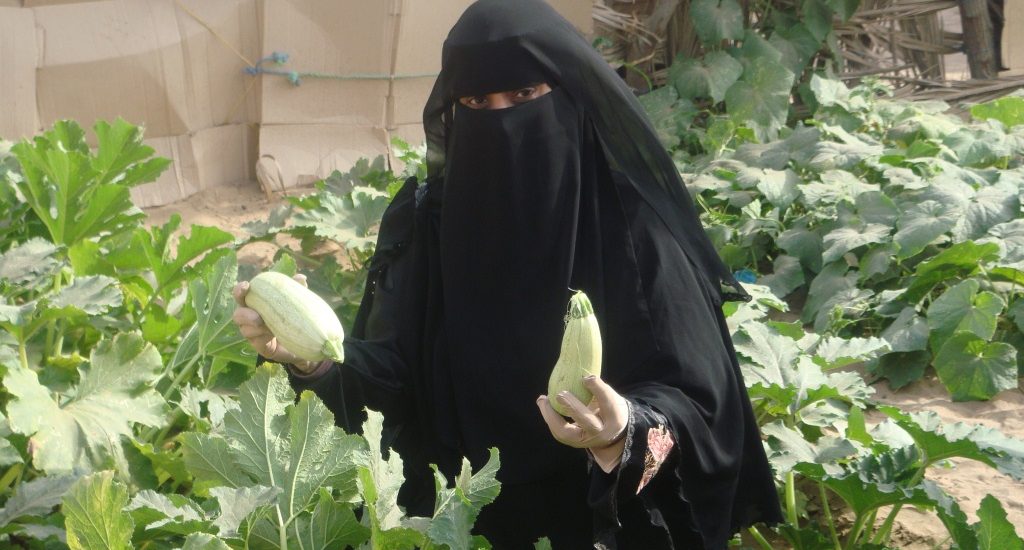 الصحة والتغذية